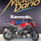 SUZUKI DL V-STROM 1000
