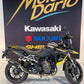 SUZUKI V-STROM DL800SE compatible A2