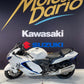 SUZUKI HAYABUSA GSX1300R