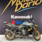 SUZUKI DL V-STROM 800 DE