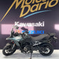 SUZUKI DL V-STROM 800 SE