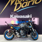 SUZUKI GSX-8S (A2)