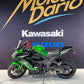KAWASAKI NINJA Z 1100 SX SE PACK PERF AKRAPOVIC