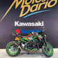 KAWASAKI Z900 FULL AKRAPOVIC