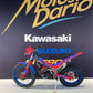 BETA EVO 250 FACTORY 2T