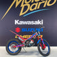 BETA EVO 250 FACTORY 2T