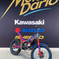 BETA EVO 250 FACTORY 2T