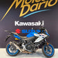 SUZUKI SV-7GX compatible jeune permis A2